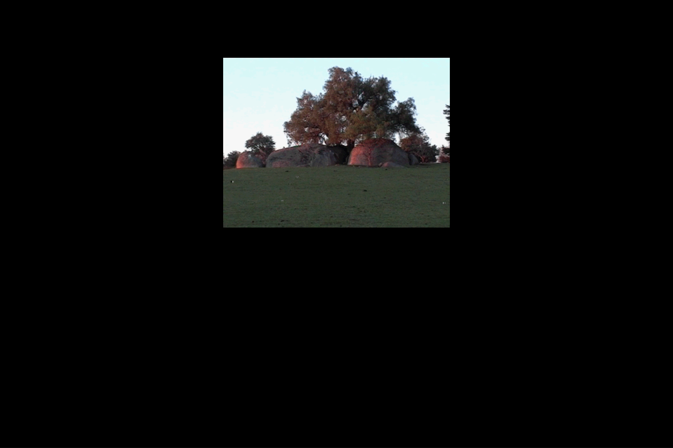 A screenshot from Daniel Green's Write What You Know.